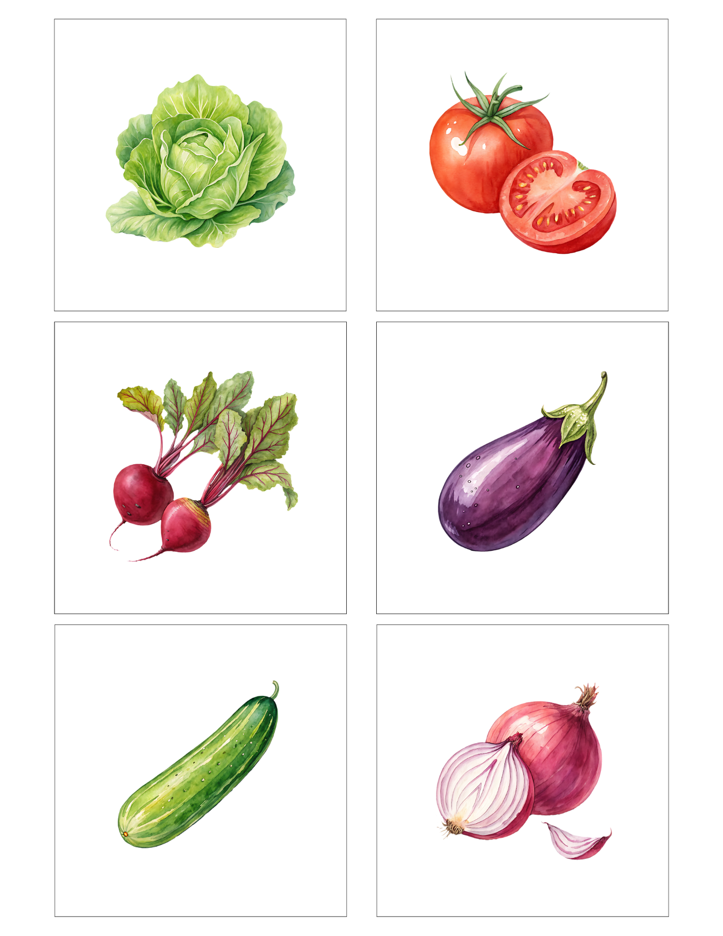 Vegetables (12 magnets)