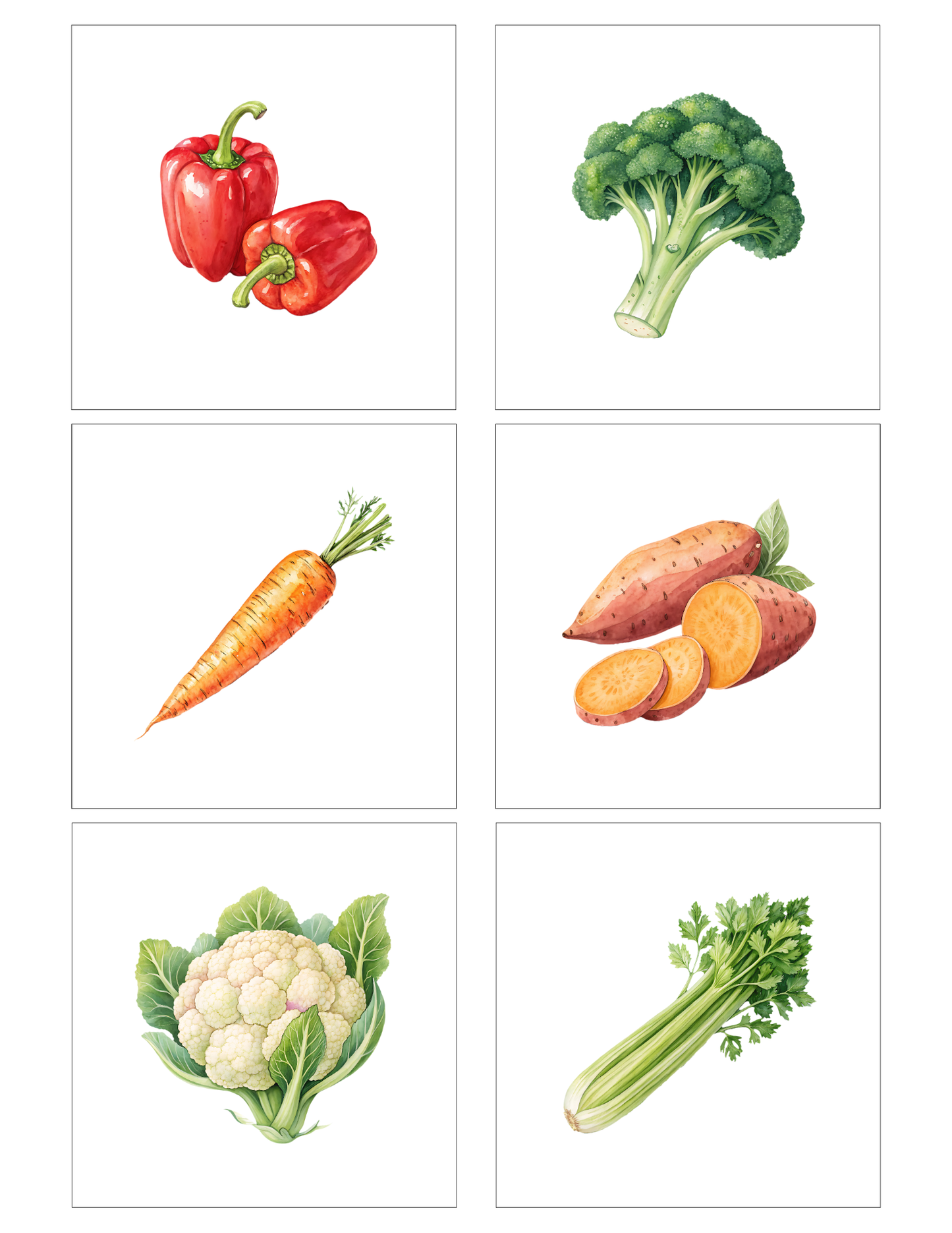 Vegetables (12 magnets)