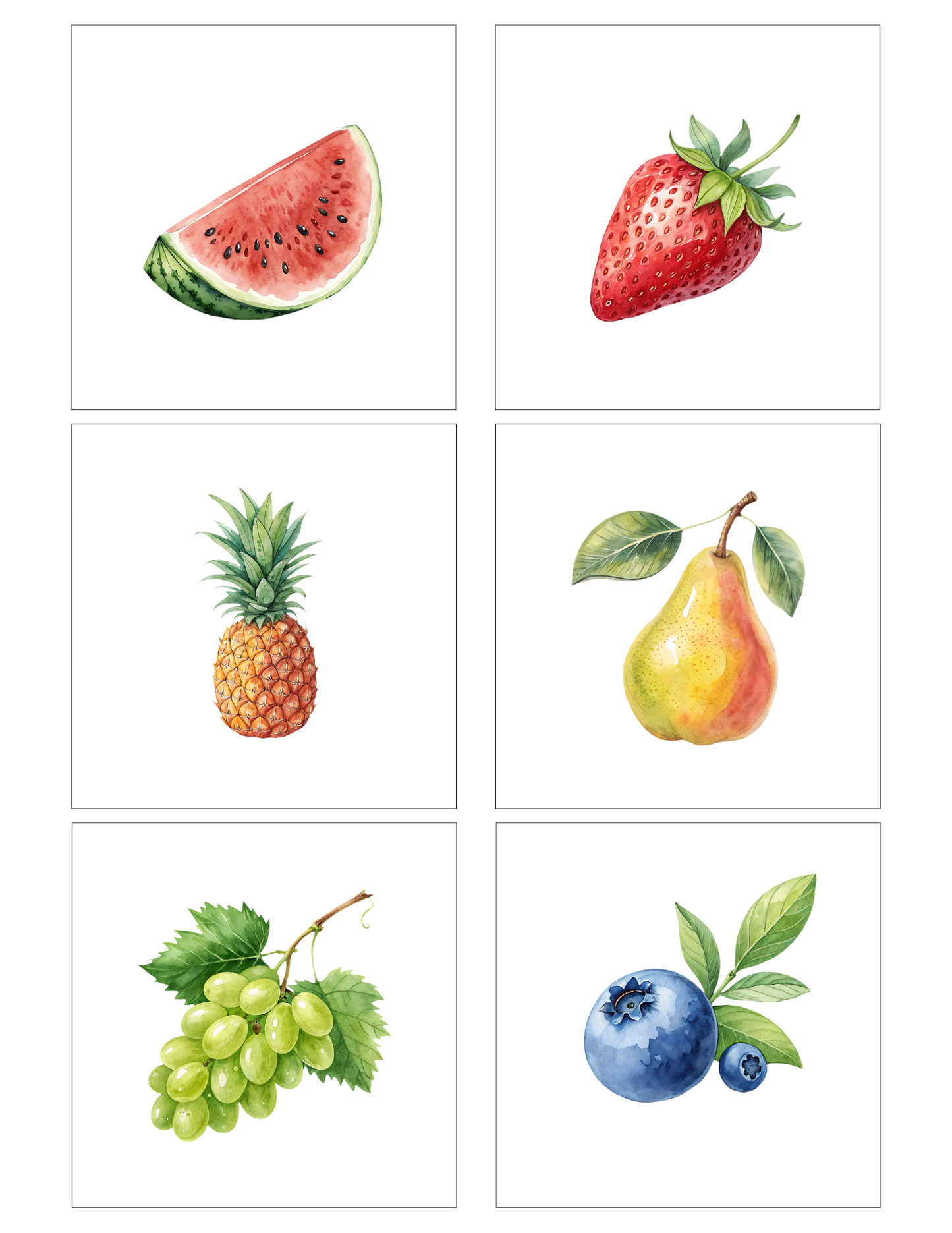 Fruits (12 magnets)
