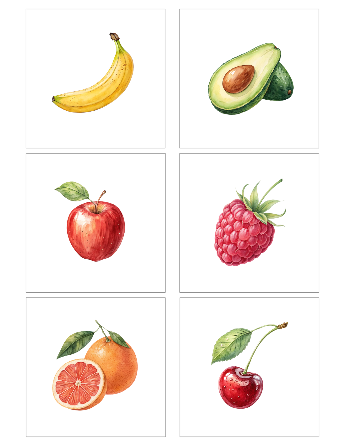 Fruits (12 magnets)