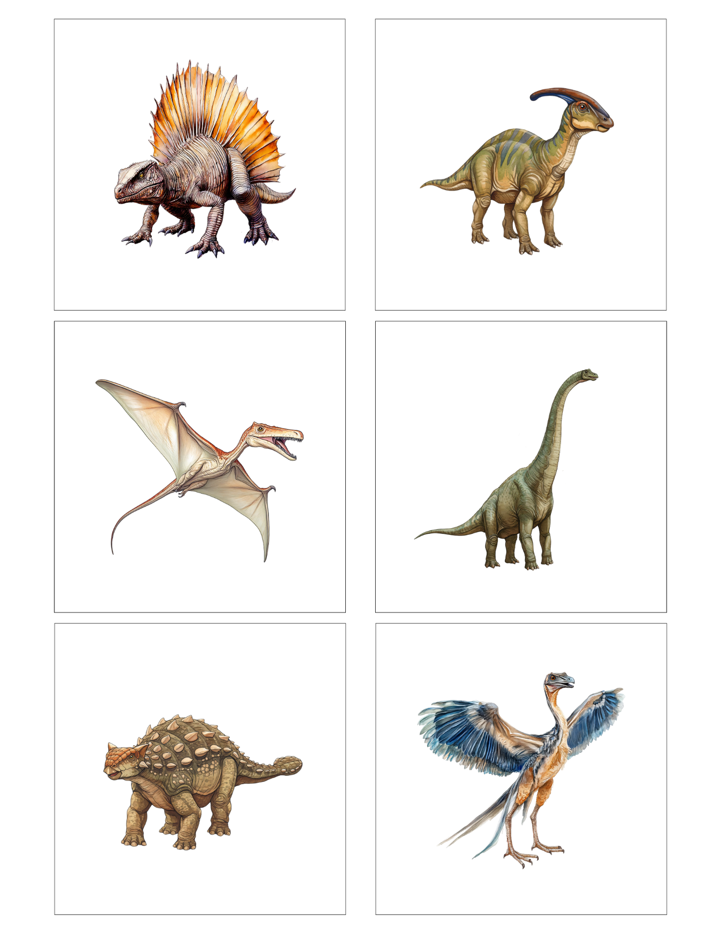 Dinosaurs (12 magnets)